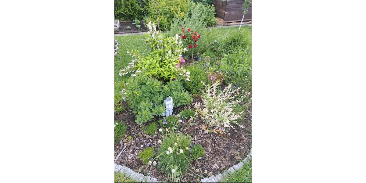 Grundstück Oer-Erkenschwick Erkenschwick - 7.500&euro; | Angebot:25285913