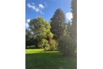 Mehrfamilienhaus, Wohnhaus Bochum Bochum-Nord - 575.000&euro; | Angebot:27254553