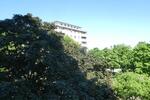 Etagenwohnung Gelsenkirchen Gelsenkirchen-Nord - 2 Zimmer, 58 m&sup2;, 389&euro; | Angebot:26147117