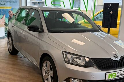 Skoda Fabia 50.106 km 8.990 &euro; Wuppertal 42289