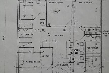 5 große helle Räume Parterre zentrumsnah, Garten und Parkplätze zimmer