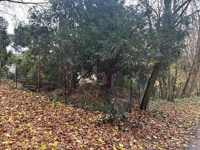 BAUEN NACH IHREN VORSTELLUNGEN zimmer