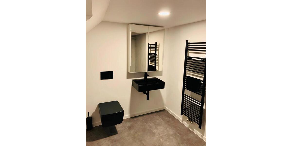 Penthouse Loft möbliert im Luisemviertel 4 zimmer