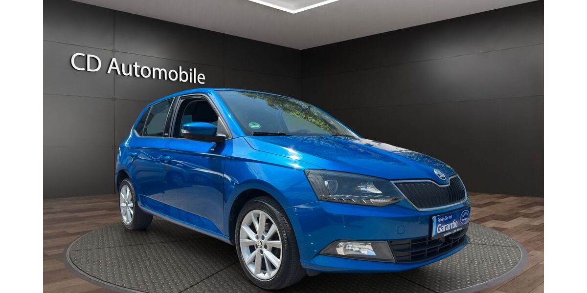 Skoda Fabia 98.920 km 7.790 &euro; Recklinghausen 45659