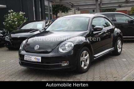 VW Beetle