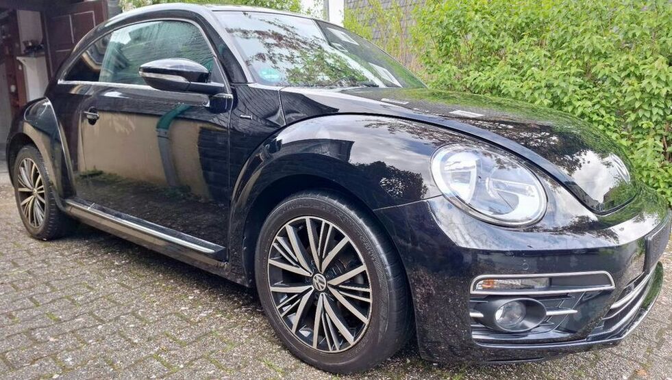 Beetle