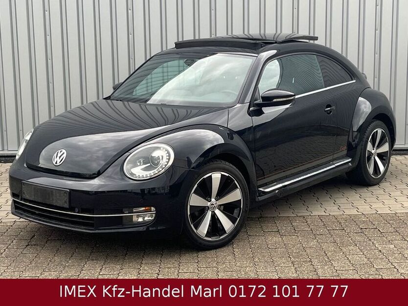 Beetle