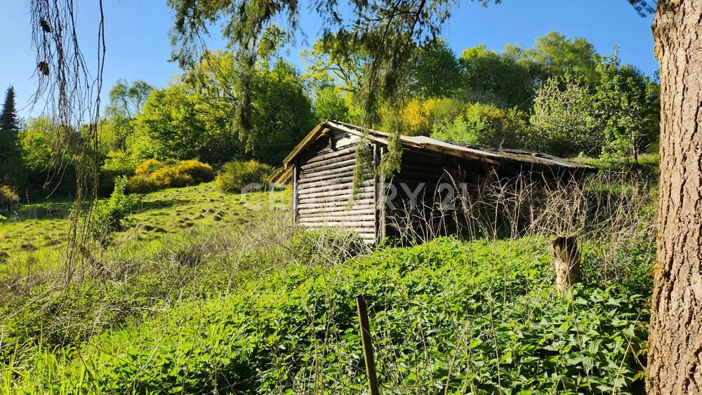 Landliebe pur! Idyllische Alleinlage im Wald. - Bauernhaus, Landhaus Bochum Bochum-Südwest | Angebot:26897328