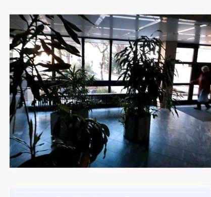 Eigentumswohnung Am Eckbusch Appartement provisionsfrei 1 zimmer