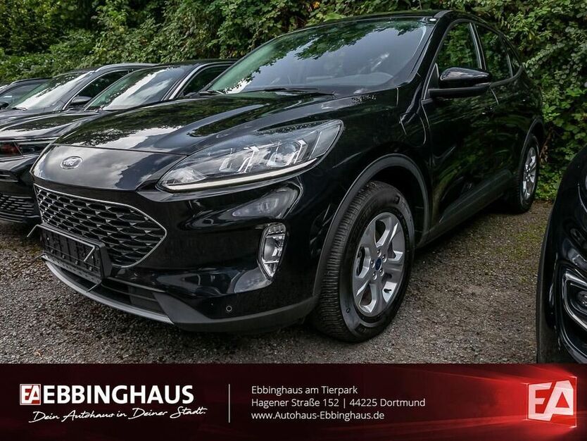 Kuga