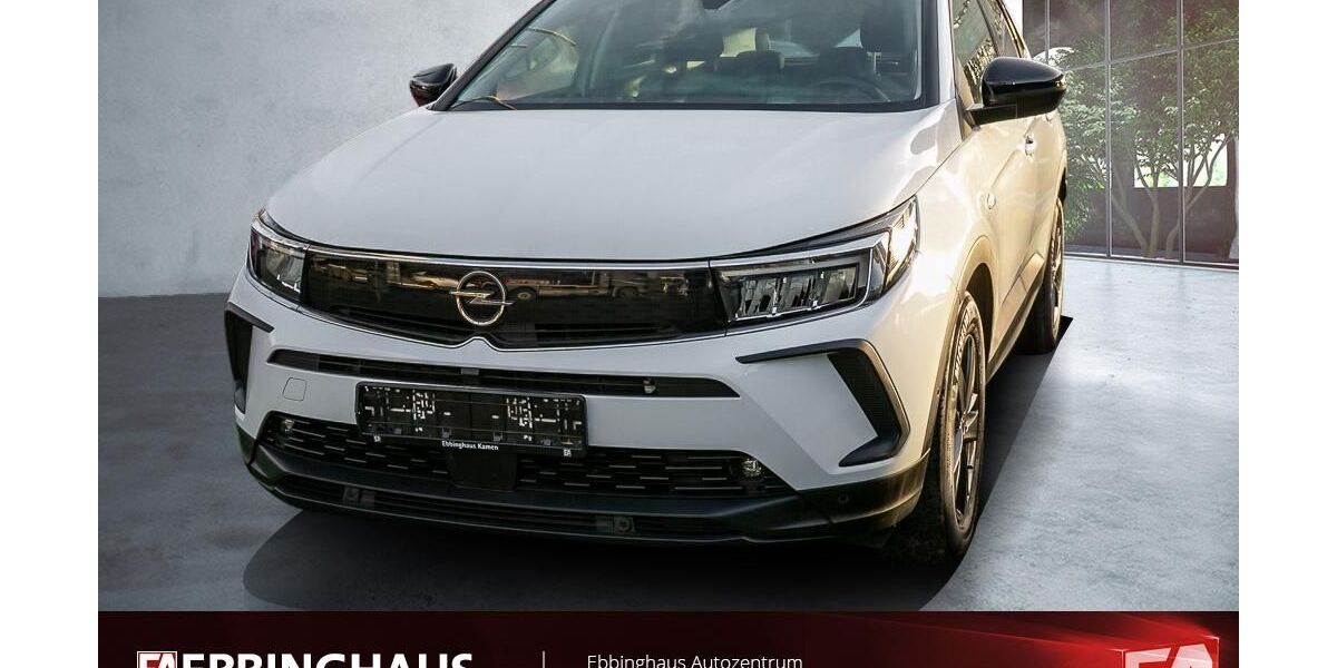 Opel Grandland (X) 51.397 km 14.999 &euro; Dortmund 44149