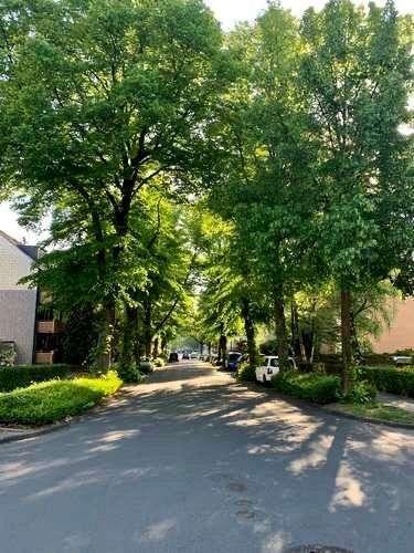 Etagenwohnung Essen Stadtbezirk IV - 1 Zimmer, 45 m&sup2;, 395&euro; | Angebot:20802521