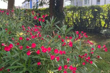 Grundstück Hagen Dahl - 133.000&euro; | Angebot:22440703