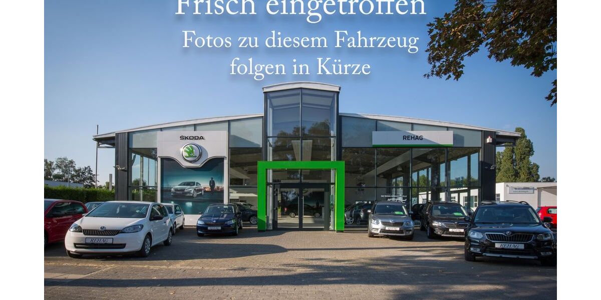 Skoda Karoq 113.967 km 19.990 &euro; Recklinghausen 45659