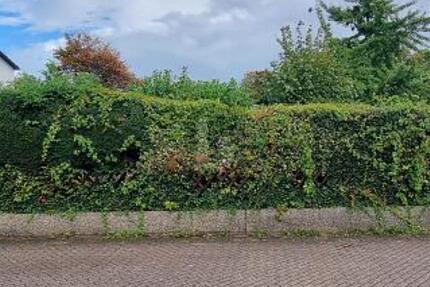 SONNENSTÜCK - UNBEBAUT UND NAHERHOLUNG - Grundstück Essen Stadtbezirk VII | Angebot:25426749