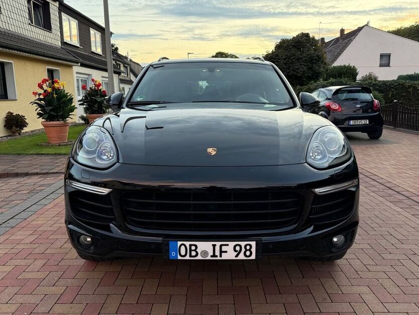 Cayenne