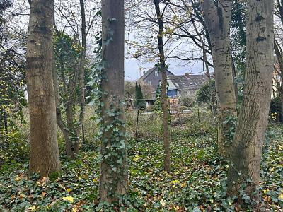 BAUEN NACH IHREN VORSTELLUNGEN - Grundstück Bochum Bochum-Nord | Angebot:25537319