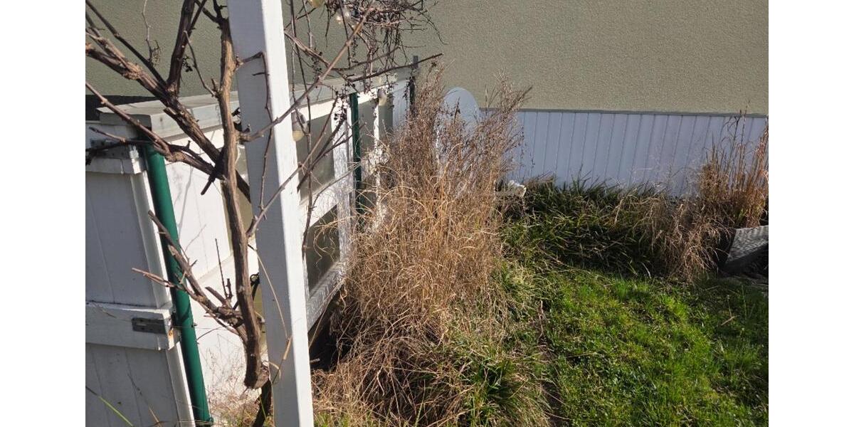 Erdgeschoßwohnung Wuppertal Lichtenplatz - 3 Zimmer, 74 m&sup2;, 703&euro; | Angebot:25559005