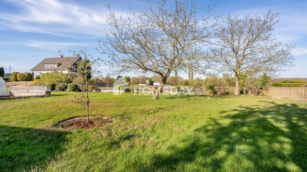 Großzügiges EFH mit Einliegerwohnung, traumhaftem Grundstück & vielseitigem Nutzungspotenzial 7 zimmer