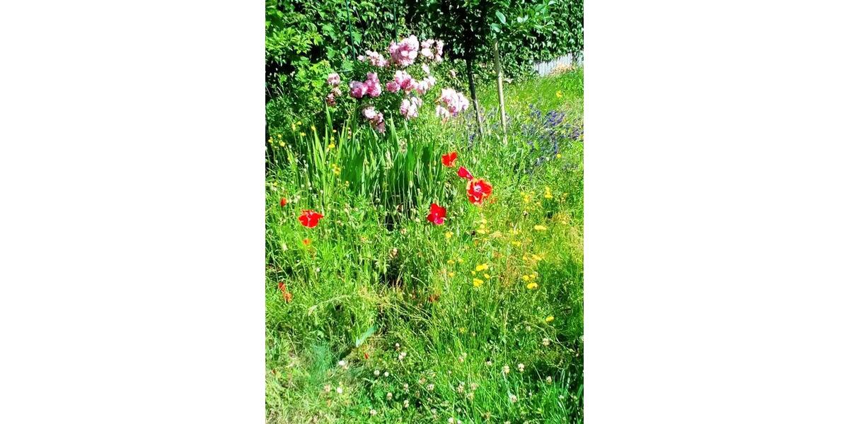 Dachgeschoßwohnung Gelsenkirchen Resse - 3.5 Zimmer, 67 m&sup2;, 690&euro; | Angebot:26347723