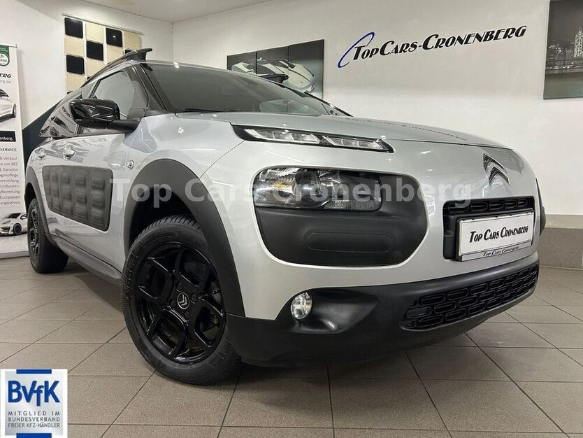 C4 Cactus