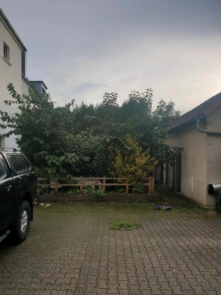 Mehrfamilienhaus Bochum Weitmer Provisinsfrei