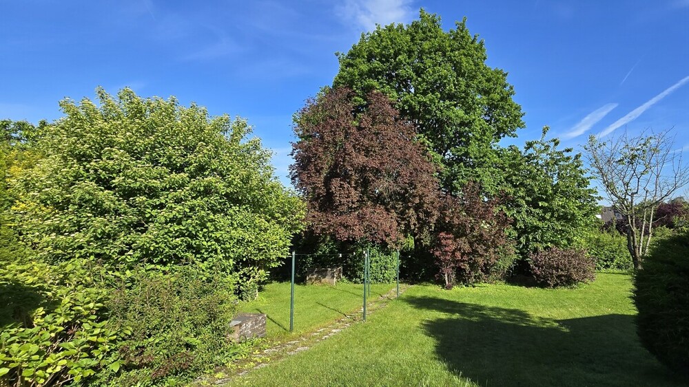 Doppelhaushälfte mit großem Grundstück und Bauplatz - Doppelhaushälfte Mettmann | Angebot:26820953