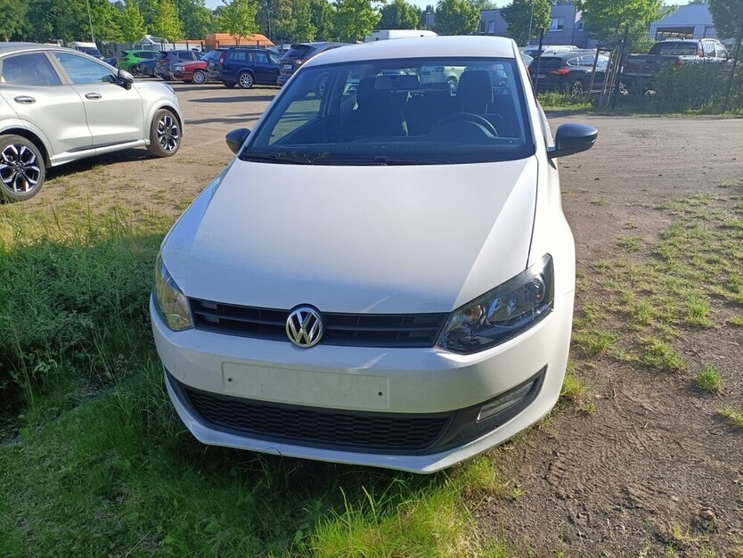 Polo