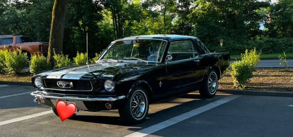 Mustang