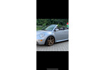 New Beetle