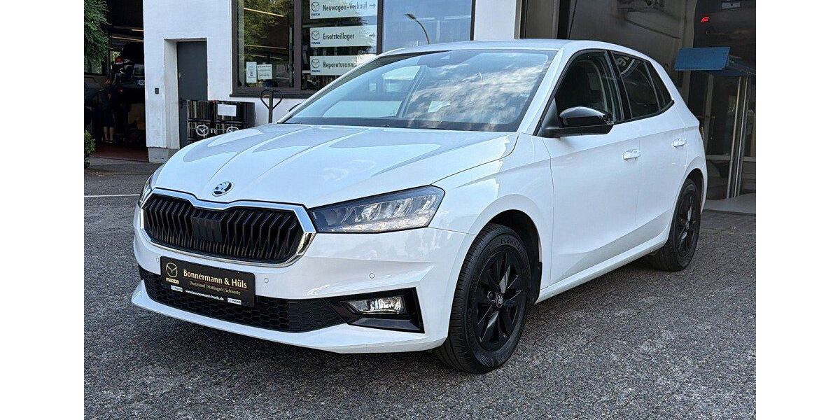 Skoda Fabia 25.498 km 16.700 &euro; Dortmund 44263