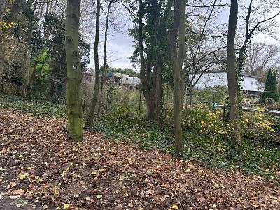 RUHIG UND IDYLLISCH FÜR NATURLIEBHABER zimmer