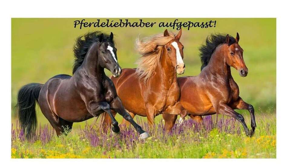 Haus zum Kaufen in Oer-Erkenschwick 1.980.000 € 300 m²