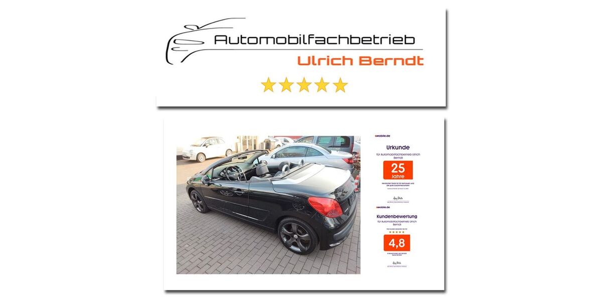 Peugeot 207 124.985 km 3.999 &euro; Essen 45307