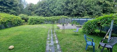 VOLL VERMIETETE KAPITALANLAGE - Mehrfamilienhaus, Wohnhaus Gelsenkirchen Gelsenkirchen-Mitte | Angebot:26386822