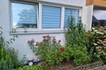 Erdgeschoßwohnung Wuppertal Gemarkung Nächstebreck - 2 Zimmer, 57 m&sup2;, 95.000&euro; | Angebot:27131433