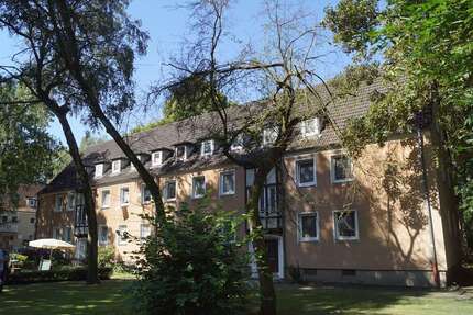 Wohnung Gelsenkirchen Gelsenkirchen-Nord - 1 Zimmer, 31 m&sup2;, 290&euro; | Angebot:23898442