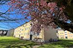 Erdgeschoßwohnung Duisburg Beeck - 2.5 Zimmer, 48 m&sup2;, 443&euro; | Angebot:26389099