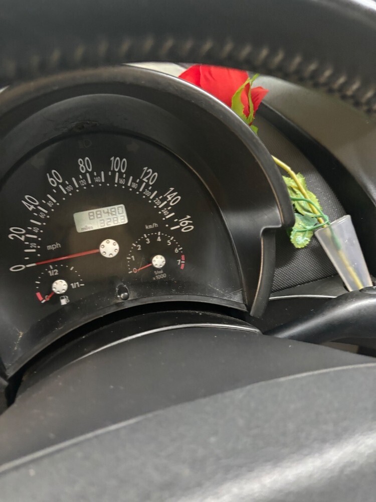 New Beetle