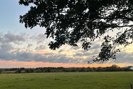 Vermietung eines Reihenhauses 5 zimmer