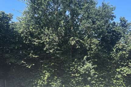 Grundstück zu verkaufen in Voerde 120.000 € 578 m²