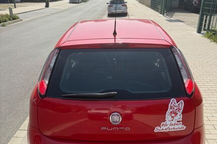 Fiat Punto 240.000 km 2.450 € Gelsenkirchen 45881