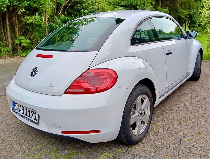 Beetle