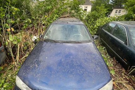 Peugeot 406