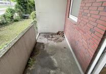 *Schickes Apartment!*