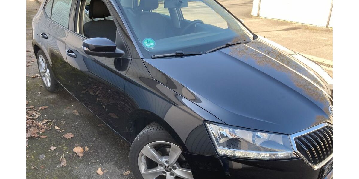 Skoda Fabia 100.000 km 7.900 &euro; Dortmund 44141