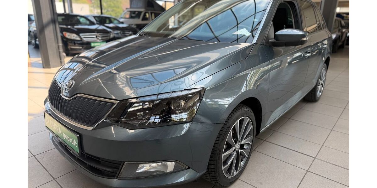 Skoda Fabia 248.500 km 5.890 &euro; Bottrop 46236