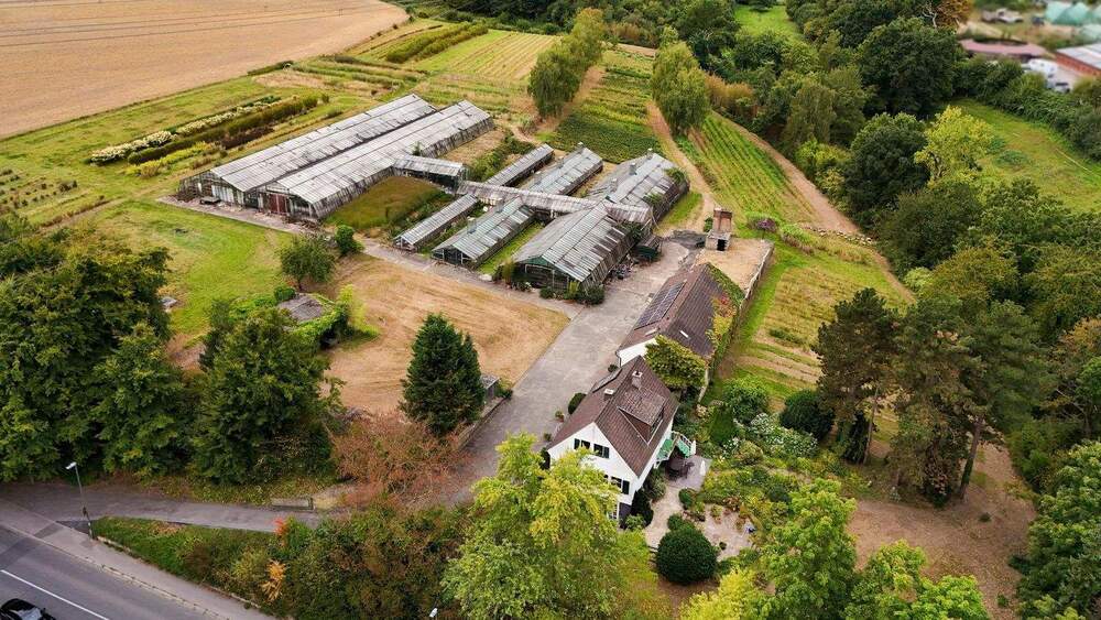 Willkommen im Grünen - Einfamilienhaus mit vielseitigem Grundstück in ruhiger Lage zimmer