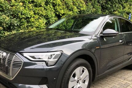 Audi e-tron 194.000 km 18.750 € Wuppertal 42281