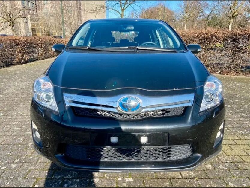 Auris